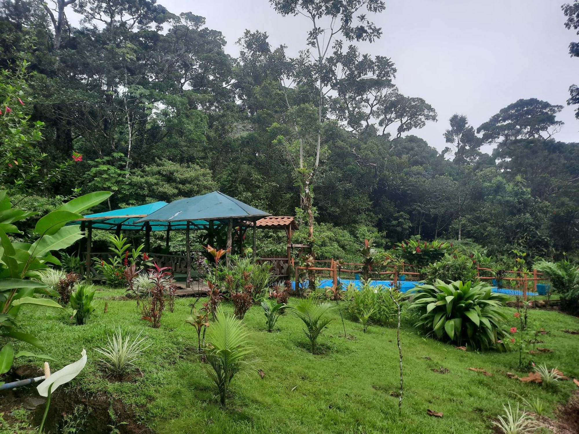 Oski Lodge, Rain Forest Rincon De La Vieja Upala Exterior foto