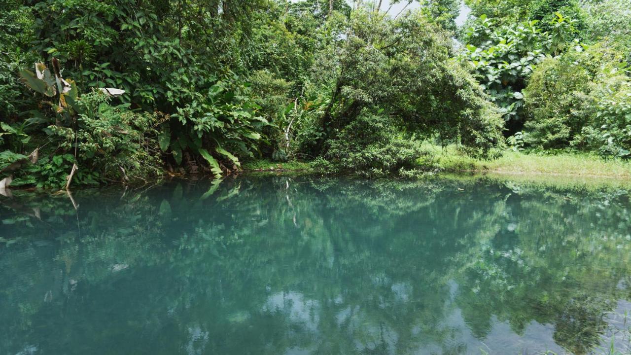 Oski Lodge, Rain Forest Rincon De La Vieja Upala Exterior foto